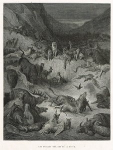 Zwierzęta chore na zarazę autorstwa Gustave Dore
