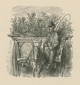 Mężczyzna jadący wozem wyładowanym roślinami i kwiatami autorstwa Gustave Dore