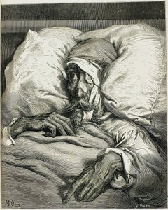 Ilustracja z powieści Don Kichot Miguela de Cervantesa, 1863. autorstwa Gustave Dore