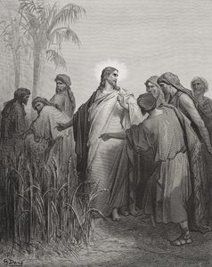 Jezus i jego uczniowie na polu kukurydzy, ilustracja z "The Holy Bible" Dore