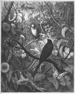 Philomele i Progne - z "Bajek" Jeana de La Fontaine autorstwa Gustave Dore