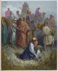Ruth i Boaz (Booz) - Ruth pracująca na polach Boaza (Boaza) (Ruth i Boaz) - - grawerowanie w „The Bible illustree” Gustave