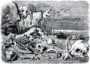 Sindbad żeglarz (Sinbad) - baśń tysiąca i jednej (1001) nocy - ilustracja Gustave Dore - wydanie Maxwell 1865 - Siódma i ostatnia podróż: cmentarz słoni, gdzie Sindbad odzyska obronę z kości słoniowej autorstwa Gustave Dore
