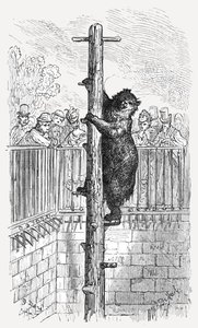 „Niedźwiedzia jama – ogrody zoologiczne”, 1872 r. autorstwa Gustave Dore