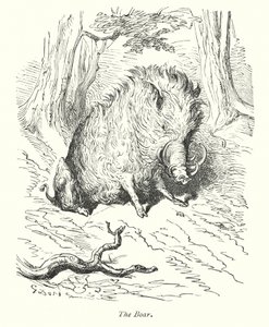 Dzik (rycina) autorstwa Gustave Dore