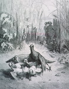Bajka skowronka, jej dzieci i mistrz pola, ilustracja do Bajek La Fontaine