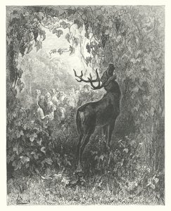 Bajki La Fontaine