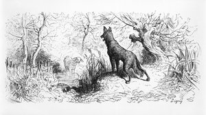 Wilk i jagnię, ilustracja z "Baśni" Jeana de La Fontaine