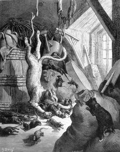 Kot i stary szczur - w „Bajkach” La Fontaine, il. Gustave Doré autorstwa Gustave Dore