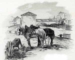 Horses de haulage, quai de la Gironde, Villette (Konie używane do holowania łodzi na kanale Saint-Denis, quai de la gironde, Villette Paris) Rysunek Gustave