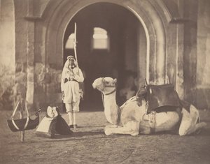 [Żołnierz i wielbłąd wojskowy], 1866. autorstwa Gustave Le Gray