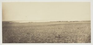 Bez tytułu autorstwa Gustave Le Gray