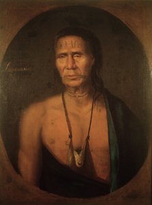 Łapowinsa