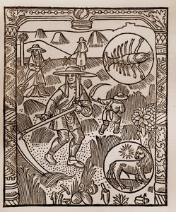 Kalendarz pasterza - Praca miesiąca - Lipiec - Drzeworyt z książki z 1496 r. wydrukowanej przez Guya Marchanta (Guido Mercator) w Troyes - Hay, la coupe des hay - Grawerowanie sur bois in „” Le grand Calendrier et compost des shepherds” - autorstwa Guy Marchant