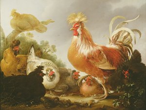 Kogucik i kury w krajobrazie, 1649 autorstwa Gysbert Hondecoeter