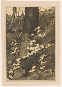 Grzyby w lesie Jesień (tytuł oryginalny) autorstwa H.C. Spruit (signed by artist)