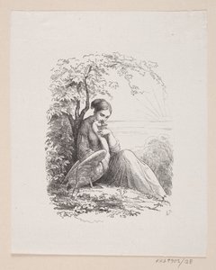 Ilustracja do „Dzikich łabędzi” w H.C. Andersen, „Baśnie i historie”, tom 1 autorstwa H.P. Hansen
