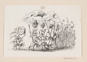 Ilustracja do „Den lille Idas Blomster” w H.C. Andersen, „Baśnie i historie”, tom 1 autorstwa H.P. Hansen