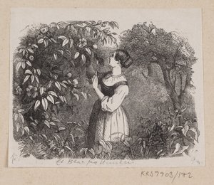 Ilustracja do „Liścia z nieba” w H.C. Andersen, „Baśnie i historie”, tom 2