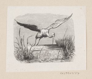 Ilustracja do „Bocianów” w H.C. Andersen, „Baśnie i historie”, tom 1 autorstwa H.P. Hansen