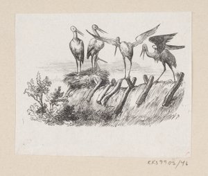 Ilustracja do „Bocianów” w H.C. Andersen, „Baśnie i historie”, tom 1 autorstwa H.P. Hansen