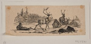 Kulig z reniferami
