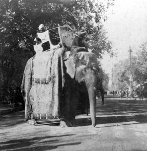 Słoń przed stacją kolejową w Delhi, Indie, 1900.