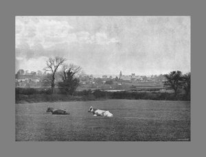 Southwell, ok. 1900 autorstwa H. J. Bliss