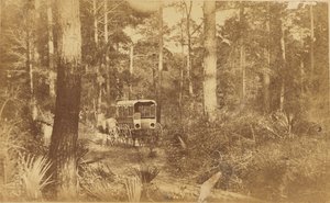 Scena na wyspie Folly