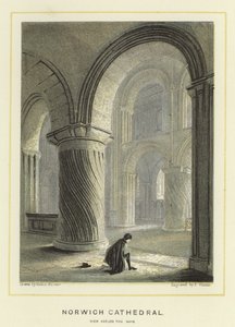 Katedra w Norwich, widok przez nawę autorstwa Hablot Knight Browne