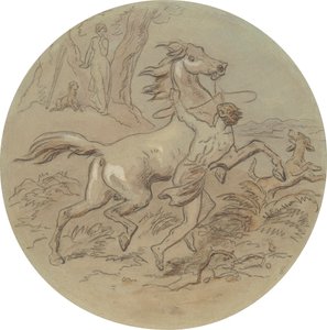 polish autorstwa Hablot Knight Browne