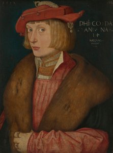 Hrabia Palatyn Filip Wojownik Hrabia Filip Bellicosus autorstwa Hans Baldung Grien