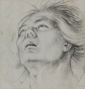  autorstwa Hans Baldung Grien