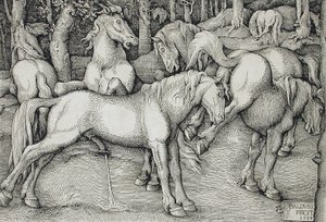  autorstwa Hans Baldung Grien