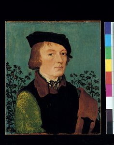 Portret mężczyzny przed różanym żywopłotem (olej na drewnie) autorstwa Hans Baldung Grien