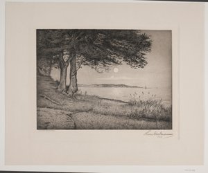 Fiord Vejle autorstwa Hans Christian Gether Caspersen