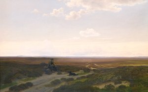Widok na wrzosowiska Pårup w pobliżu Silkeborg, Jutlandia autorstwa Hans Friis
