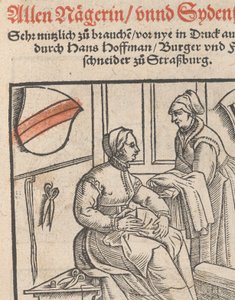 Nowa książka wzorcowa dla wszystkich stron tytułowych Nägerin i Sydenstickern, 1r, 1556. autorstwa Hans Hoffman