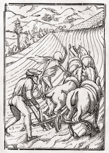 Śmierć przychodzi dla Rolnika lub Rolnika, rytowany przez Georga Scharffenberga, z „Der Todten Tanz”, wydanej w Bazylei, 1843 autorstwa Hans Holbein der Jüngere