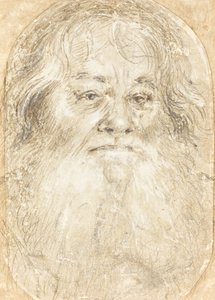 Studium brodatego mężczyzny [verso] autorstwa Hans Holbein the Elder