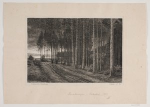 Deszczowy dzień w świerkowym lesie autorstwa Hans Julius Fæster