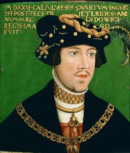 Portret Ludwika II, króla Węgier (1506-1526)