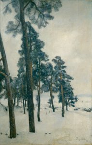 Z jeziora Bogstad autorstwa Hans Olaf Heyerdahl