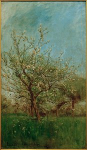 Kwitnące drzewa Uerdenbach
