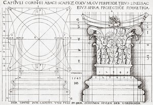 Przekrój kapitału korynckiego i rysunek proporcjonalny autorstwa Hans Sebald Beham