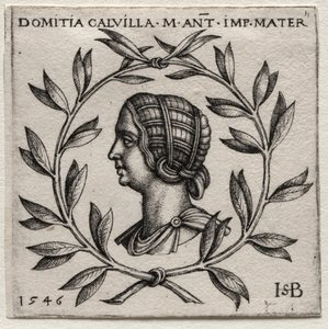 Domicja Calvilla autorstwa Hans Sebald Beham