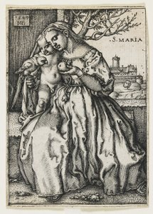Dziewica z Dzieciątkiem z papugą, 1549