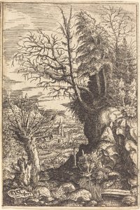 Pejzaż z wierzbą, 1553. autorstwa Hans Sebald Lautensack