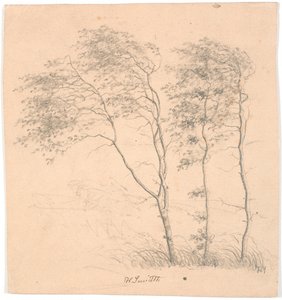 Trzy drzewa autorstwa Hans Smidth