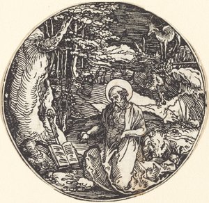 Święty Hieronim w pokucie autorstwa Hans Springinklee